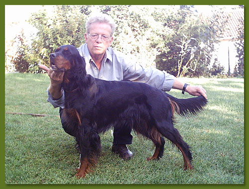 Gordon Setter - Rebecca vom Eixelberg